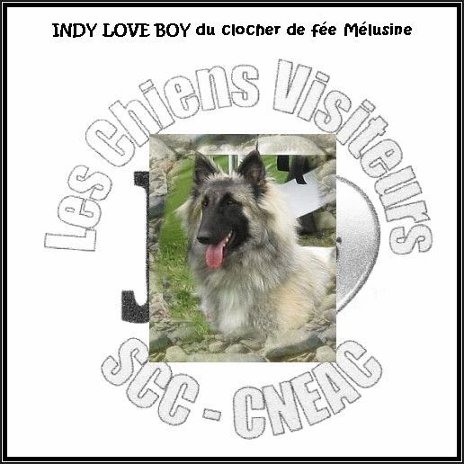 du clocher de fée Mélusine - INDY LOVE BOY obtient son diplôme de 