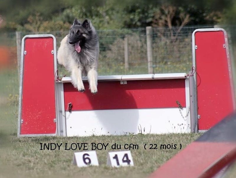 Indy love-boy du clocher de fée Mélusine
