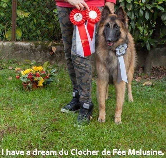 I have a dream du clocher de fée Mélusine