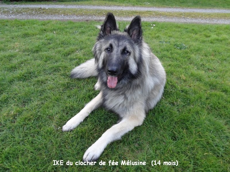 Ike du clocher de fée Mélusine