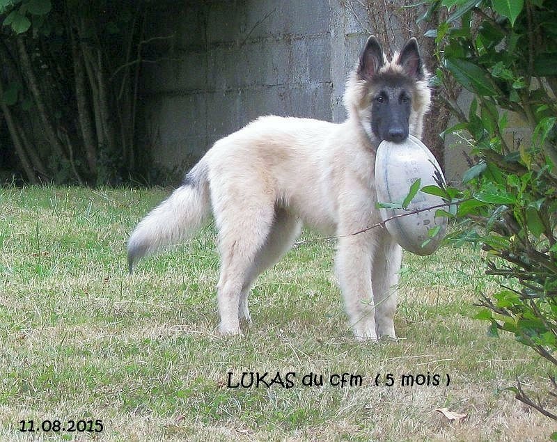 Lukas du clocher de fée Mélusine