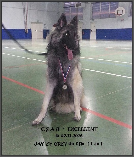 Jay zy grey du clocher de fée Mélusine