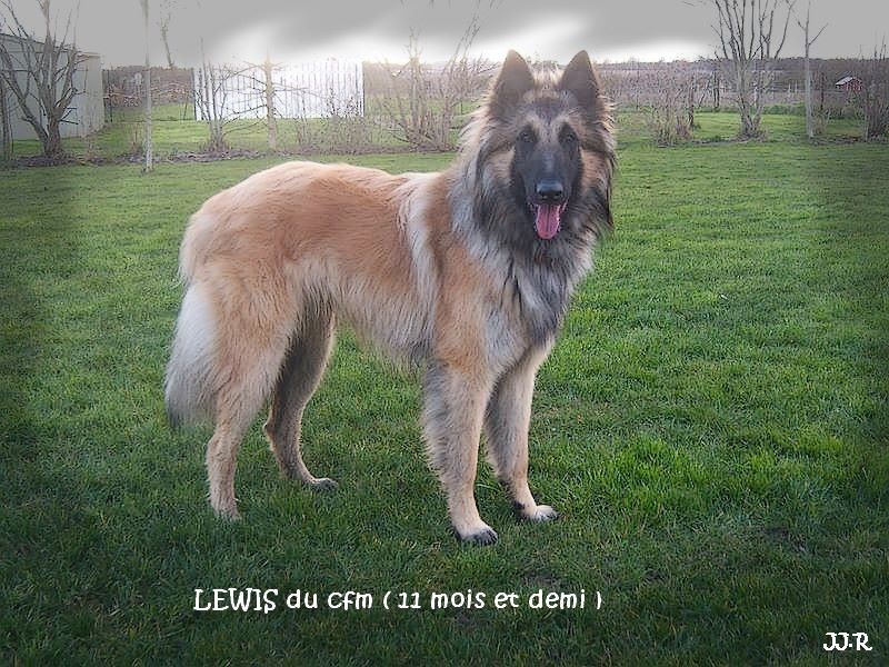 Lewis du clocher de fée Mélusine