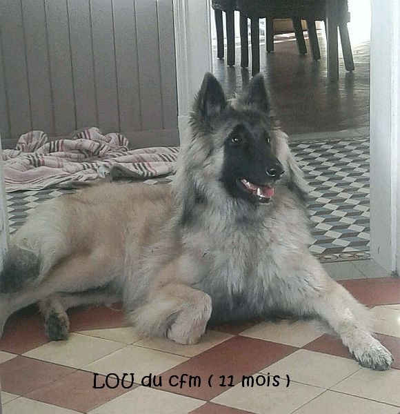 Lou du clocher de fée Mélusine