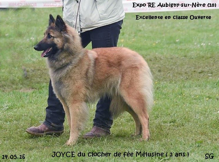 Joyce du clocher de fée Mélusine