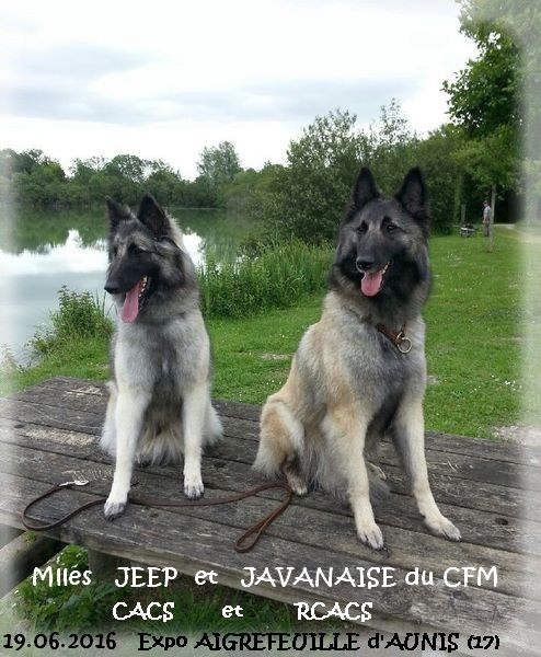 JEEP et JAVANAISE 1er EXCELLENT-CACS et RCACS à l'expo d'Aigreuille d'