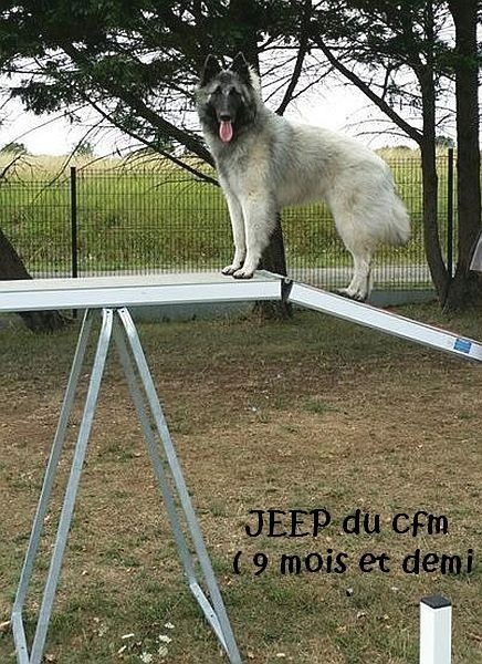Agility